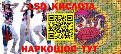 гашик Гусь-Хрустальный