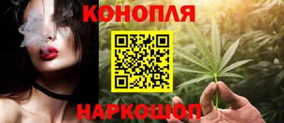 гашик Гусь-Хрустальный