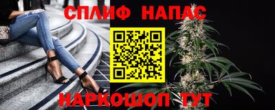 гашик Гусь-Хрустальный