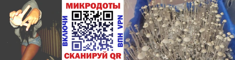Псилоцибиновые грибы Psilocybe  omg маркетплейс  Калач-на-Дону  где можно купить наркотик 