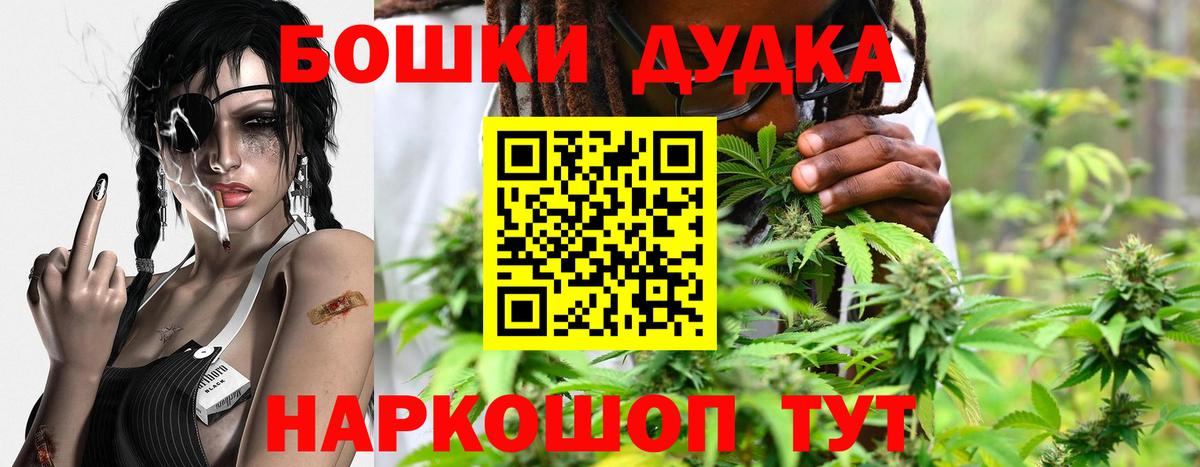 Бошки Шишки семена Калач-на-Дону